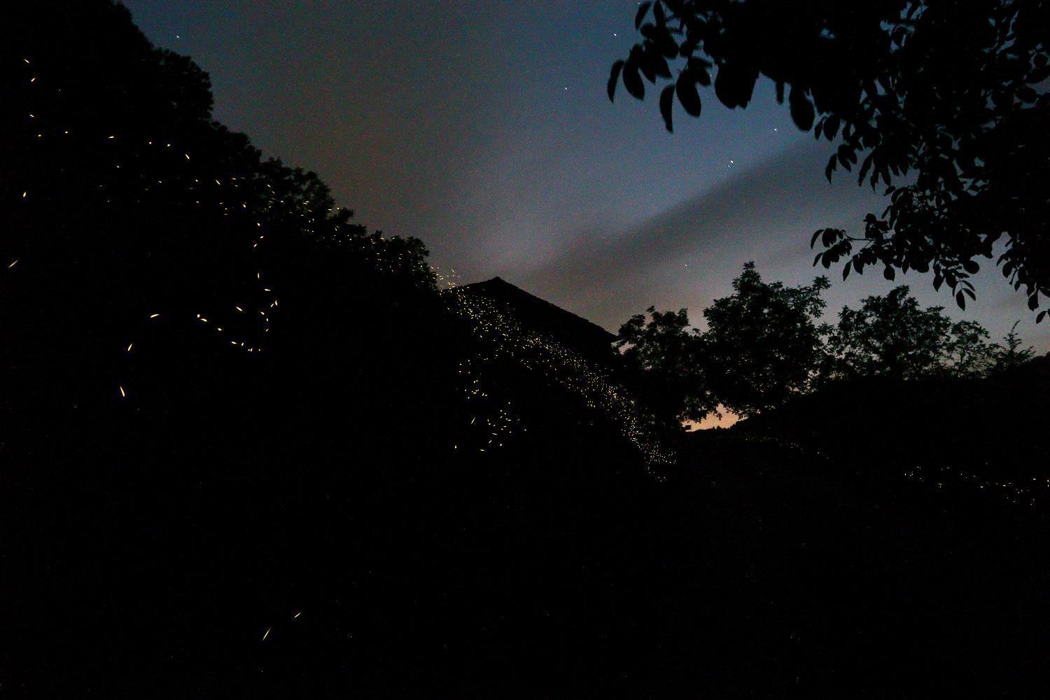 Mimmo'S Holiday House San Godenzo Exterior foto